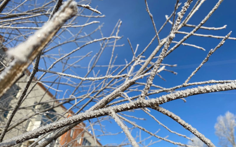 Синоптик рассказал, вернутся ли морозы в Центральную Россию
