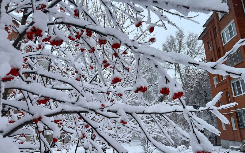 Народные приметы на Федотов день: какой поступок 20 ноября может навлечь болезни