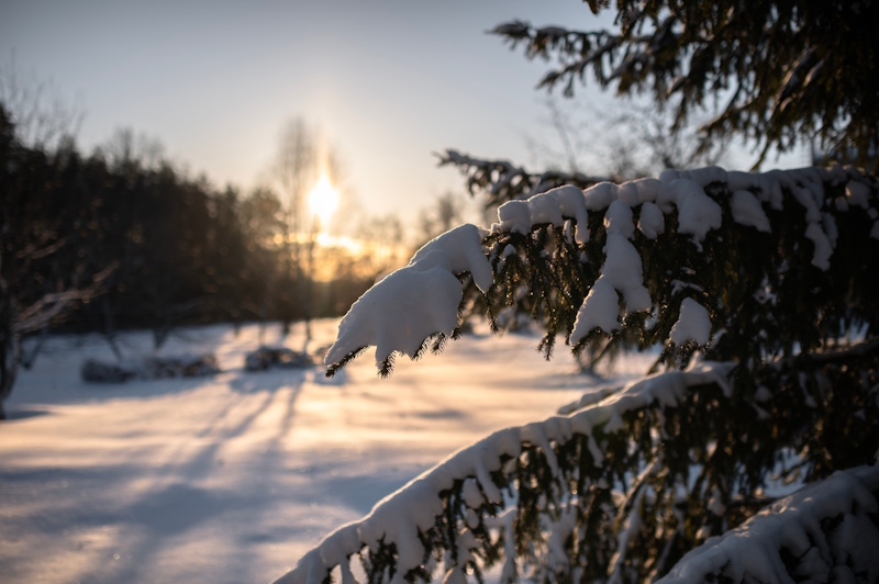 Народные приметы на 17 декабря расскажут, будет ли весна ранней