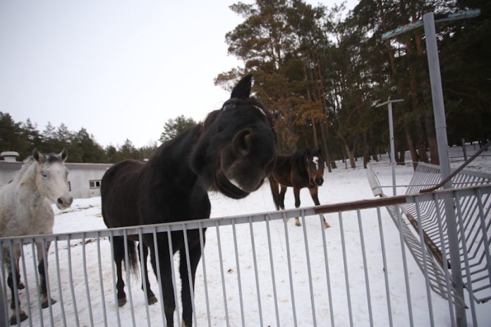 Yp9e61eIoupNAE2r5oBXZSQnNatvqcz2UyjRd8ZxV4XKZiEIIXflUUBwnJKIxoKiWjAh8cSV_HozrwiCz4jZBrRv