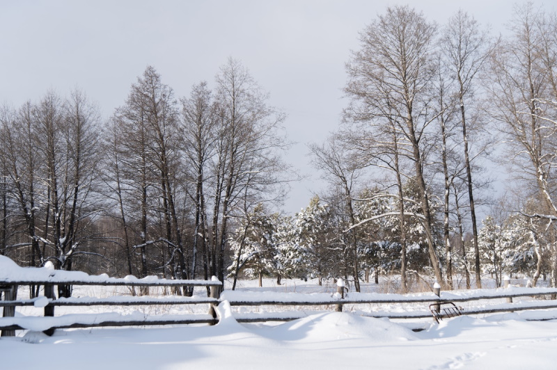 В Башкирии за сутки нашли трех пропавших человек