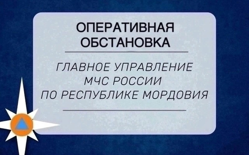 В Мордовии за сутки произошло пять пожаров