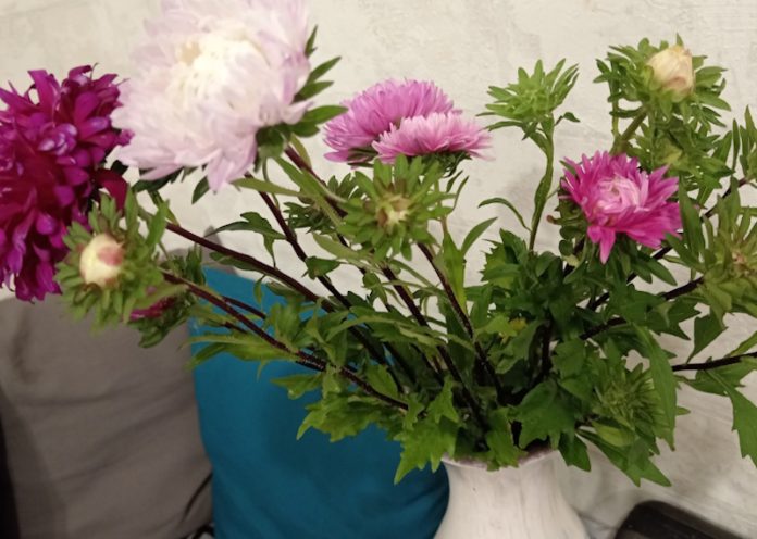 tG-q6OfLUNaEG-f97eokXWH5wmKpZTnS0O0avxhMmqFexkEBwIKHTQMvIt7E5Ki4cQcfiepzKi5rLS1S_vLvlOIy