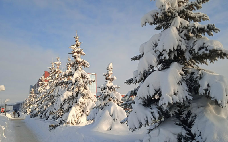 Синоптики рассказали о погоде в Мордовии в начале новой рабочей недели